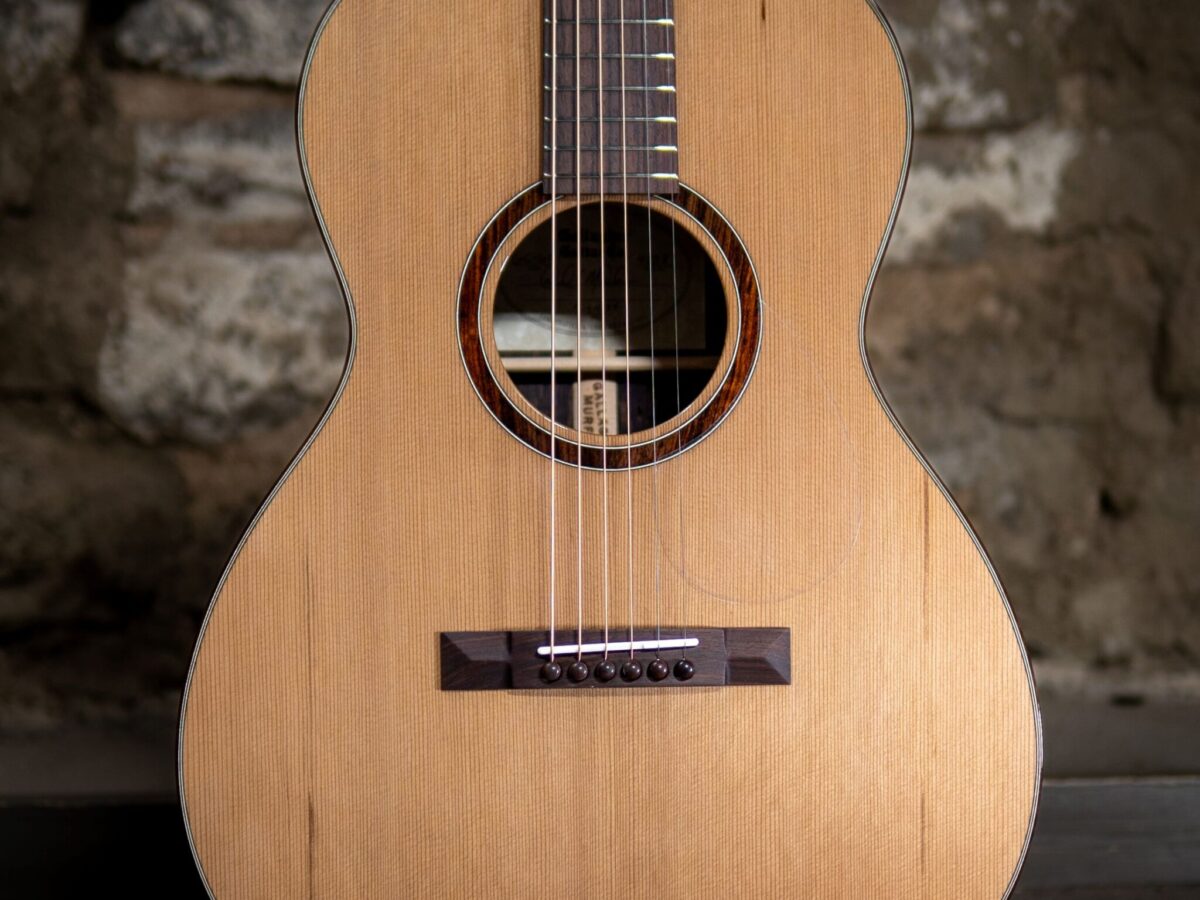 GC-60, #4238 - Gallagher Guitar